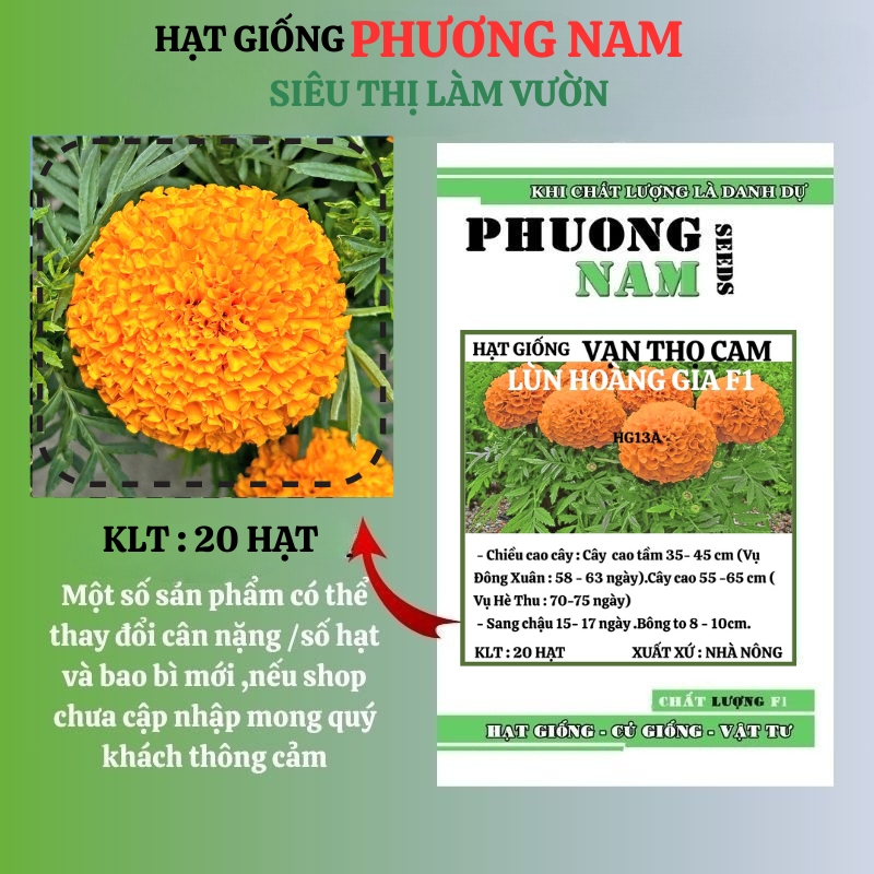 vạn thọ cam l&ugrave;n f1