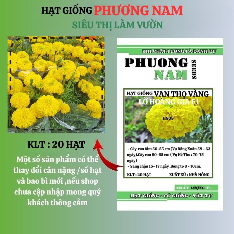 vạn thọ v&agrave;ng cao lỡ f1