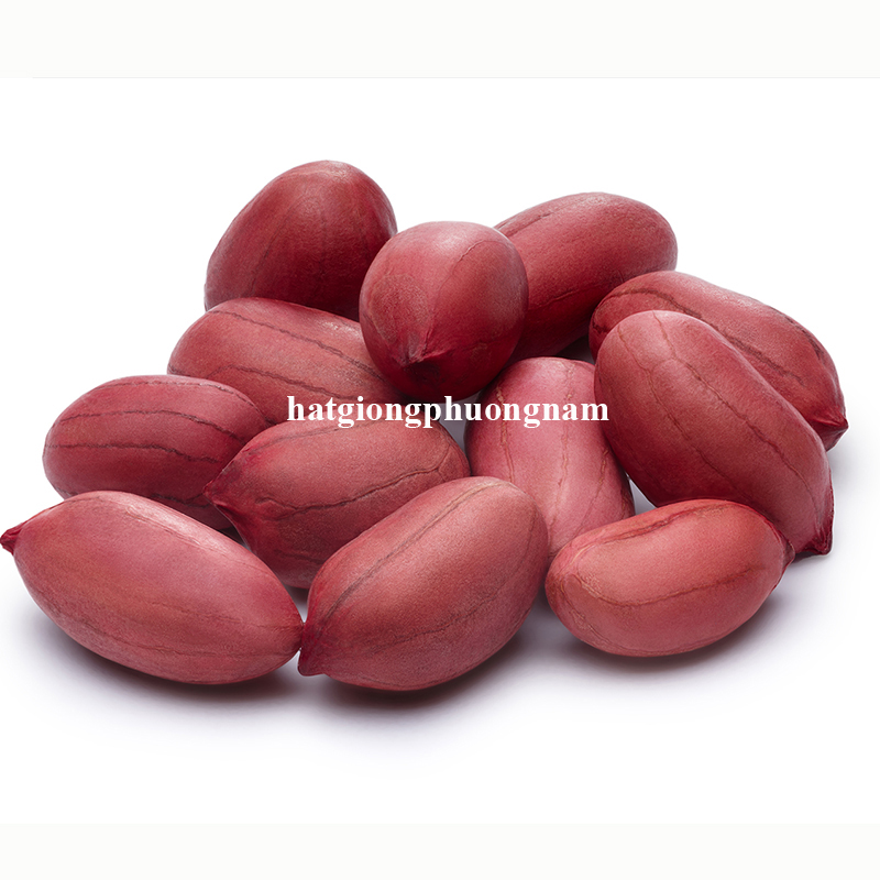 hat-giong-dau-phong-do (1)