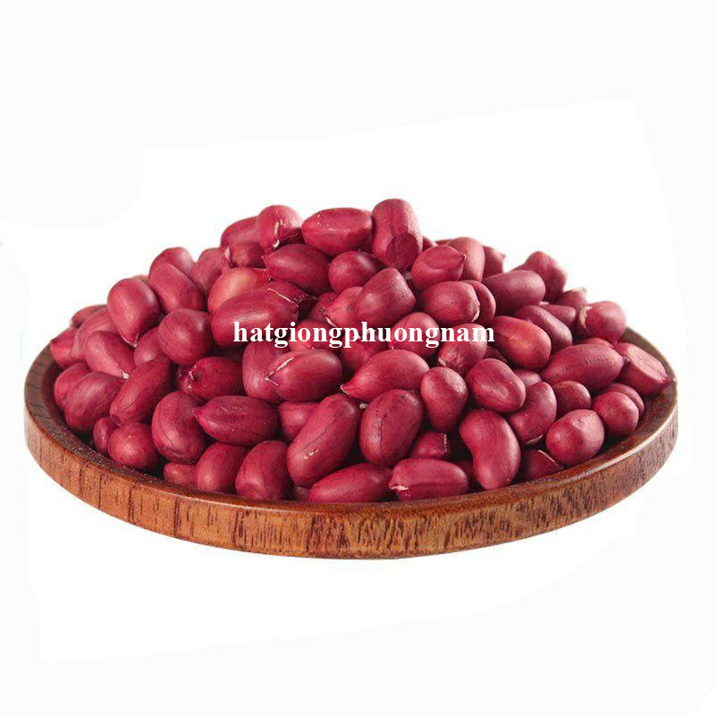 hat-giong-dau-phong-do (2)