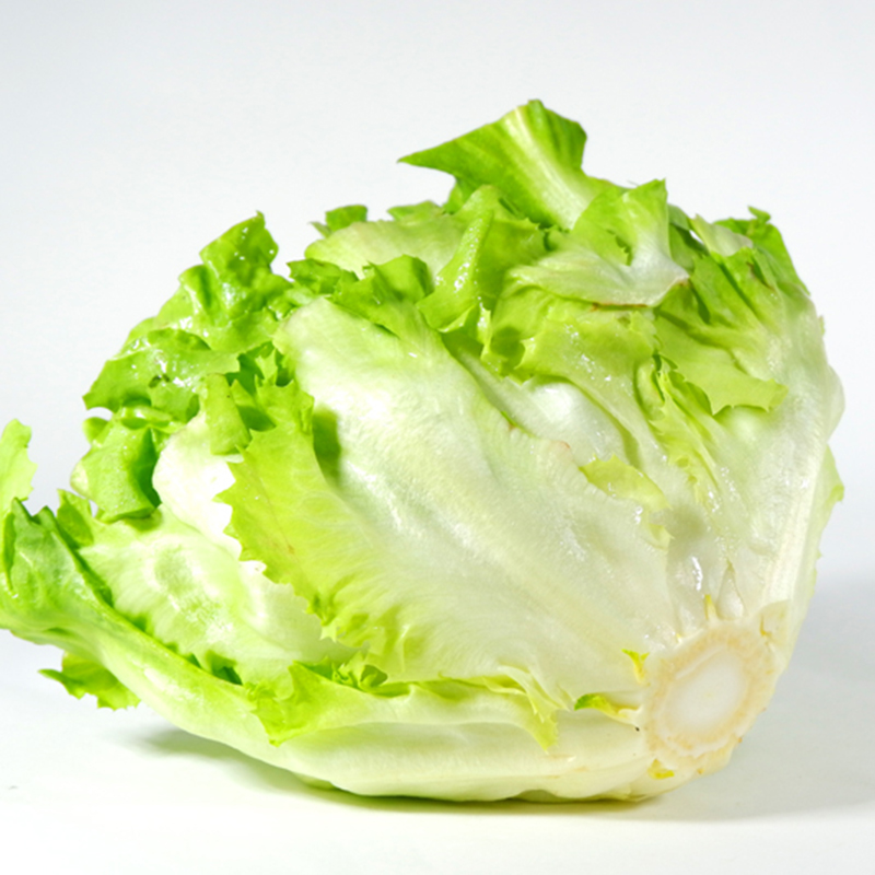 HẠT GIỐNG XÀ LÁCH XAROL