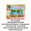 Phân Bón Siêu Ra Hoa Đậu Quả (Chống Rụng Hoa Và Trái Non) - 25 Gram