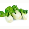  Hạt Giống Cải Bok Choy (Bokchoy ) Trắng - 300 Hạt