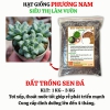 Đất Trồng Sen Đá,  Xương Rồng Trộn Sẵn - 3KG